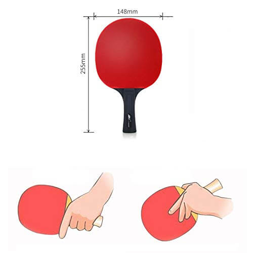 Fortitude Sports Table Tennis Bats and Balls Set