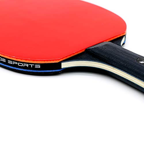 Fortitude Sports Table Tennis Bats and Balls Set